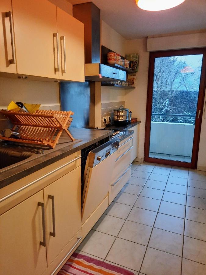 Entre Lac D'Annecy Et Montagnes, Golf Et Parapente A Pieds Talloires-Montmin Exterior foto